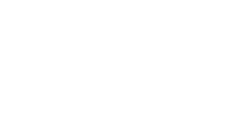 AAPI Logo
